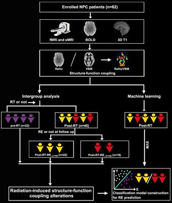 Structure–Function Decoupling: A Novel Perspective for Understanding the Radiation-Induced Brain Injury in Patients With Nasopharyngeal Carcinoma